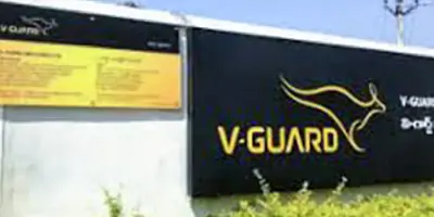 Wire Companies in India - V-Guard Industries